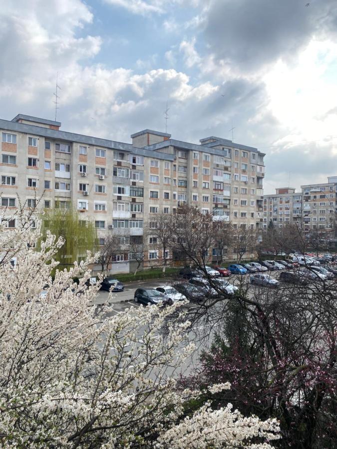 Virginia'S Studio Piteşti Eksteriør billede